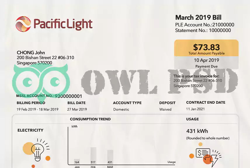 Singapore Electricity Utility Bill Template