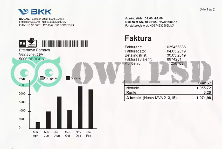 Norway Bkk Utility Bill Template