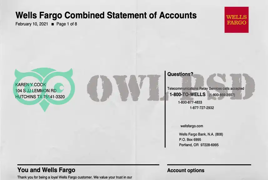 United States Wells Fargo & Company Statement Template
