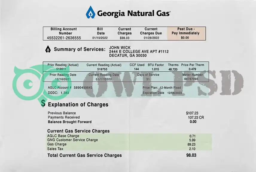 United States Georgia Gas Utility Bill Template