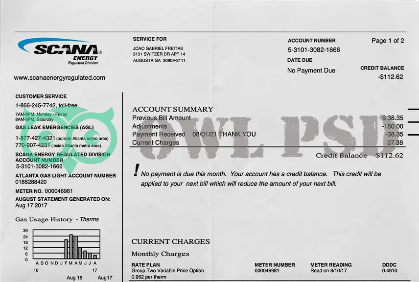 United States SCANA Utility Bill Template