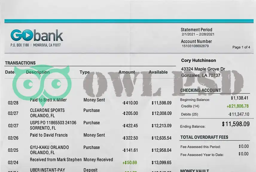United States Go Bank Statement Template