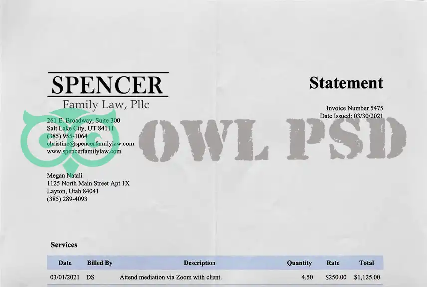 United States Spencer Family Law Statement Template