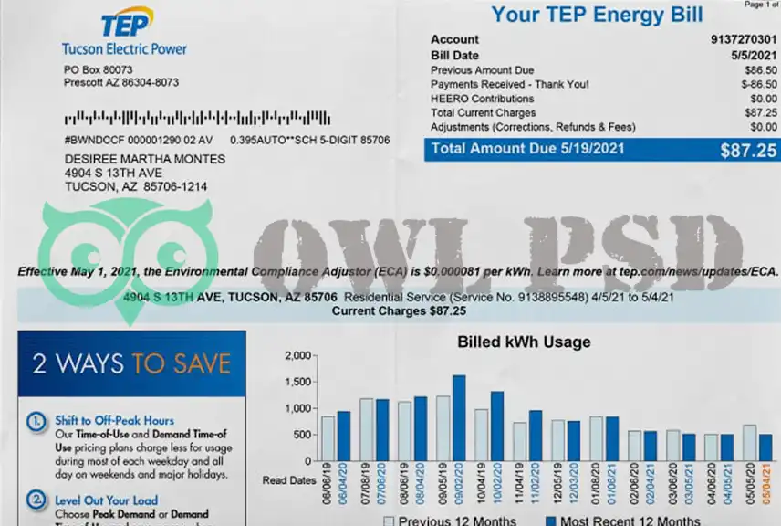United States TEP Energy Utility Bill Template