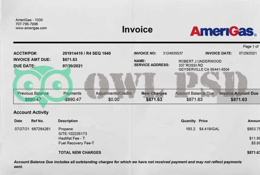 United States AmeriGas Utility Bill Template