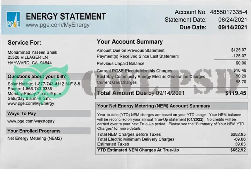 United States PGE Utility Bill Template