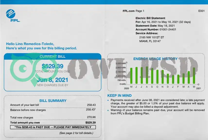 United States FPL Utility Bill Template