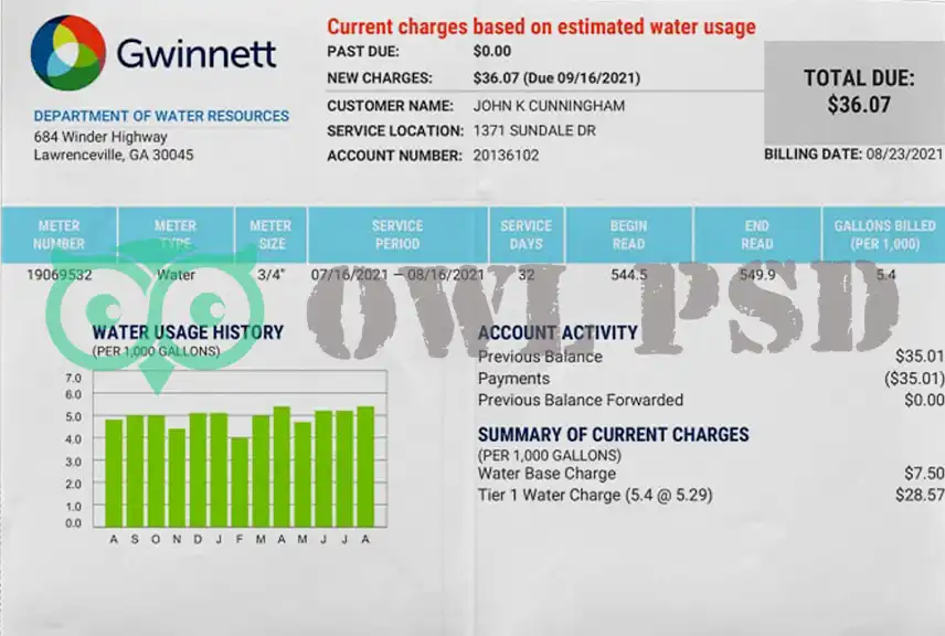 United States Gwinnett Utility Bill Template