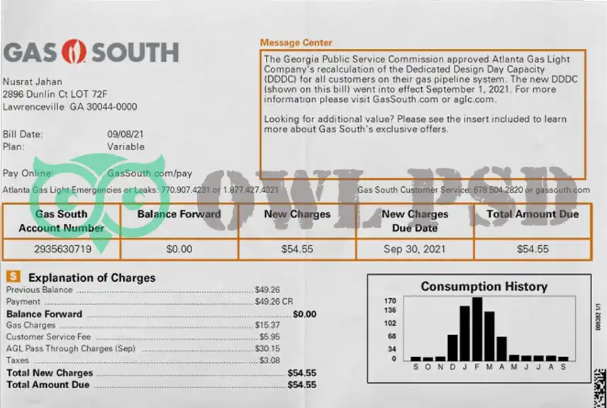 United States Gassouth Utility Bill Template