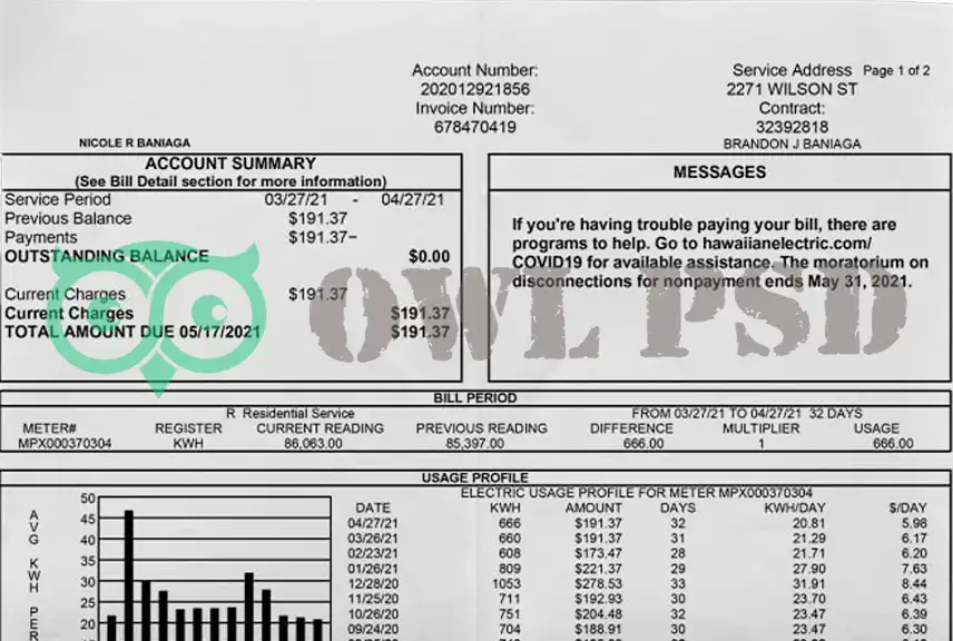 United States Hawaii an Electric Utility Bill Template