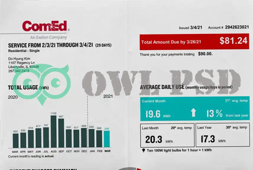 United States Comed Utility Bill Template
