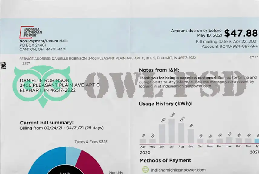 United States Indiana Power Utility Bill Template