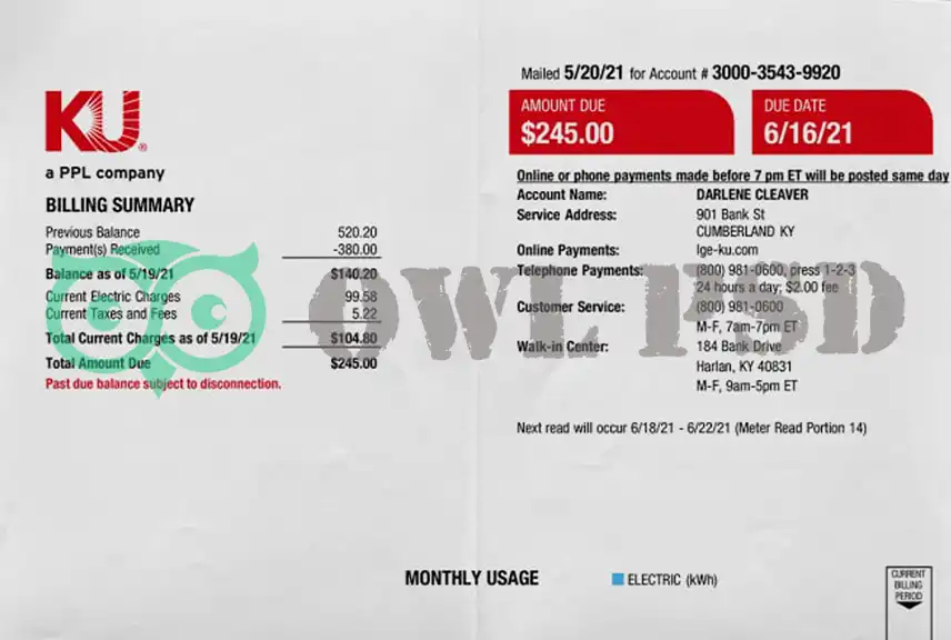 United States LGE Utility Bill Template
