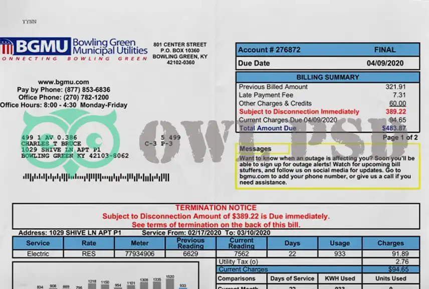 United States BGMU Utility Bill Template