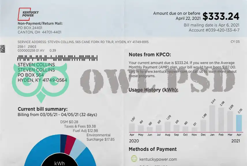 United States Kentucky Power Utility Bill Template