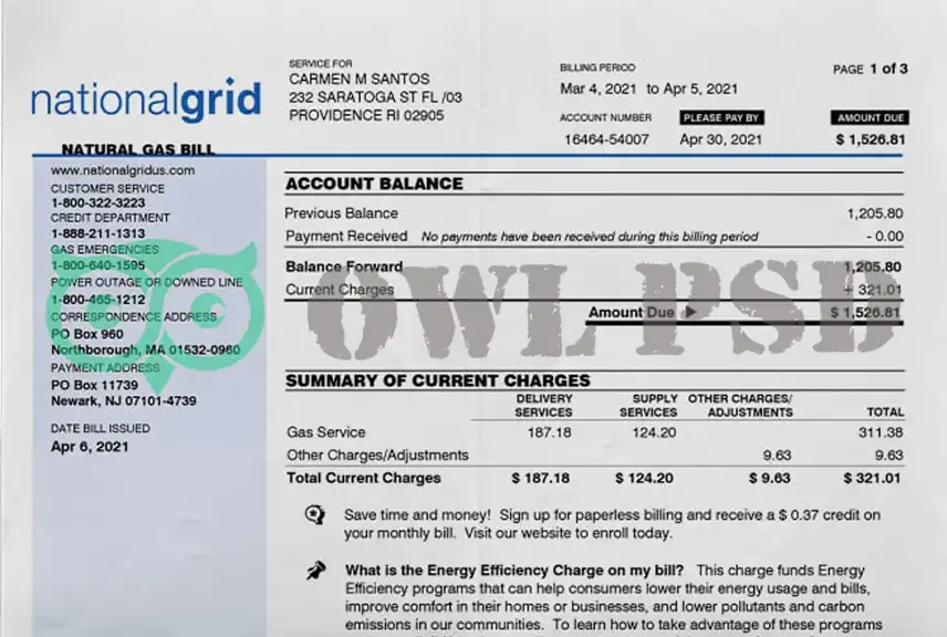 United States Nationalgrid Utility Bill Template