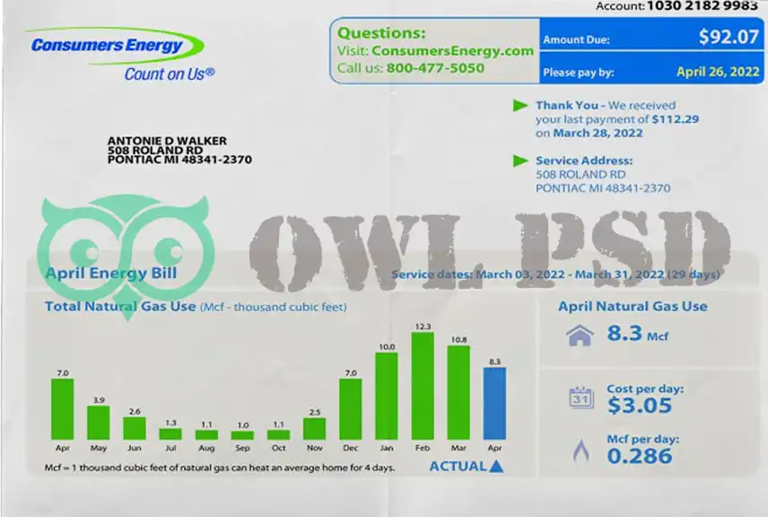 United States Consumers Energy Utility Bill Template