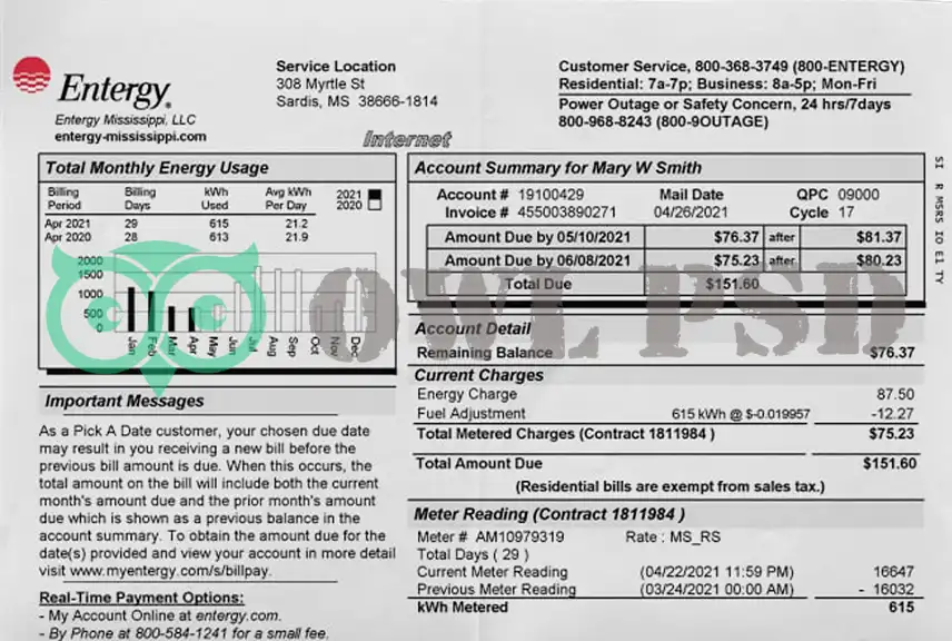 United States Entergy Utility Bill Template