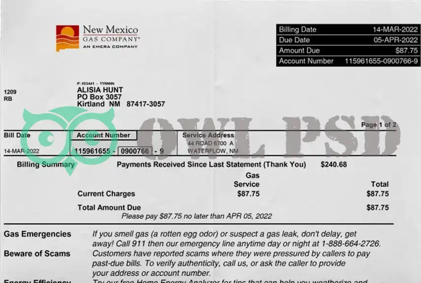 United States NM Gas Utility Bill Template
