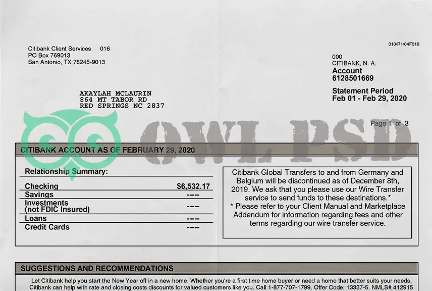 United States Citibank Statement Template