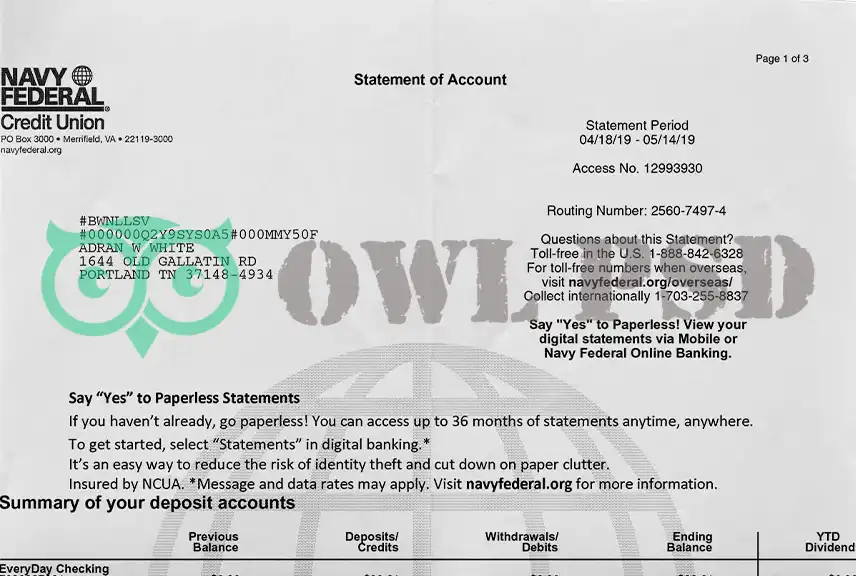 United States Navy Federal Statement Template