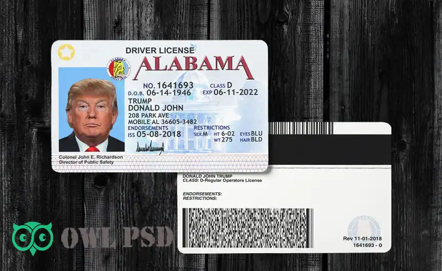 United States (Alabama) Driver License Template