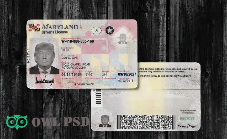 United States (Maryland) Driver License New Template