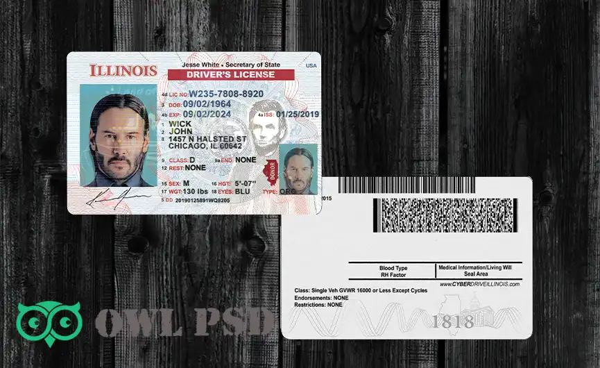 United States (Illinois) Driver License New Template