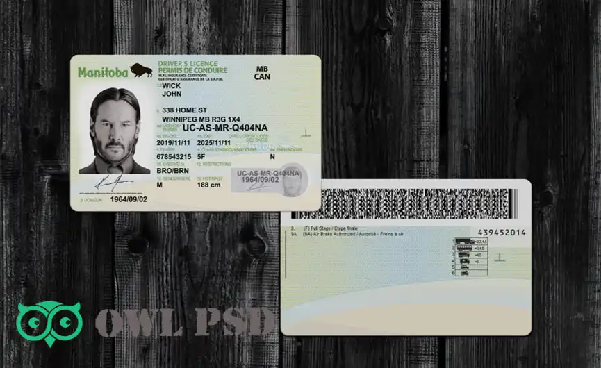 United States (Manitoba) Driver License New Template