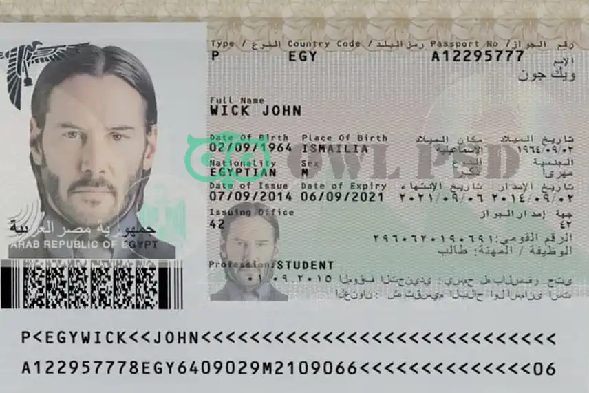 Egypt Passport Template 2008