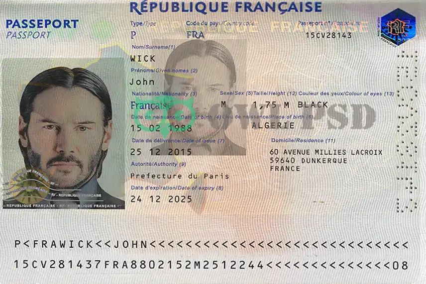 France Passport Template 2006