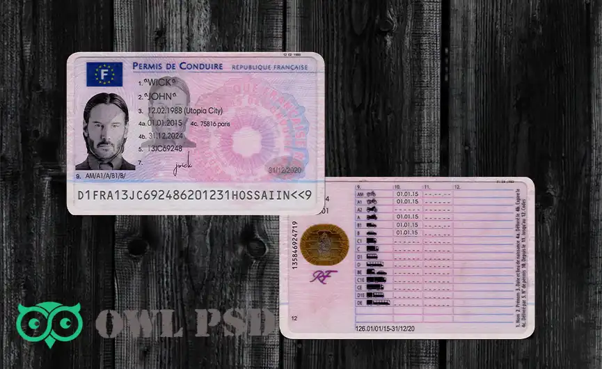 France Driver License Template 2015