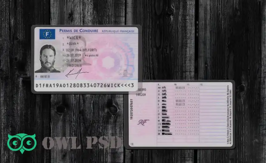 France Driver License Template 2015