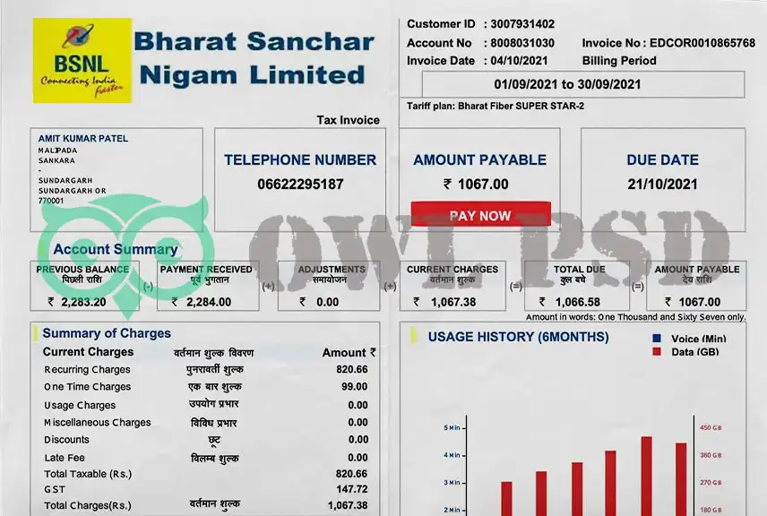 India BSNL Utility Bill Template