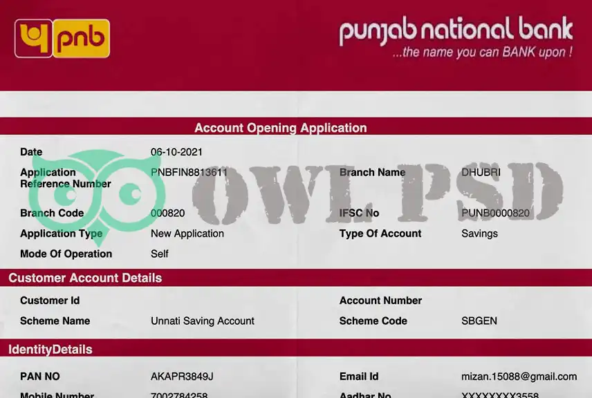 India Punjab National Bank Statement Template
