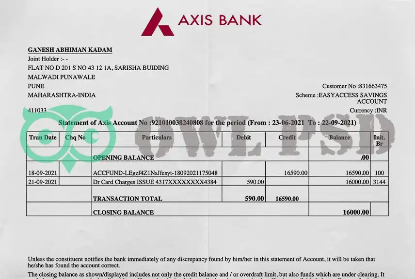 India Axis Bank Statement Template