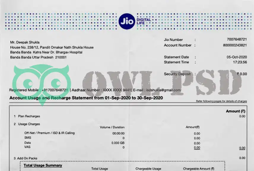 India JIO Bank Statement Template