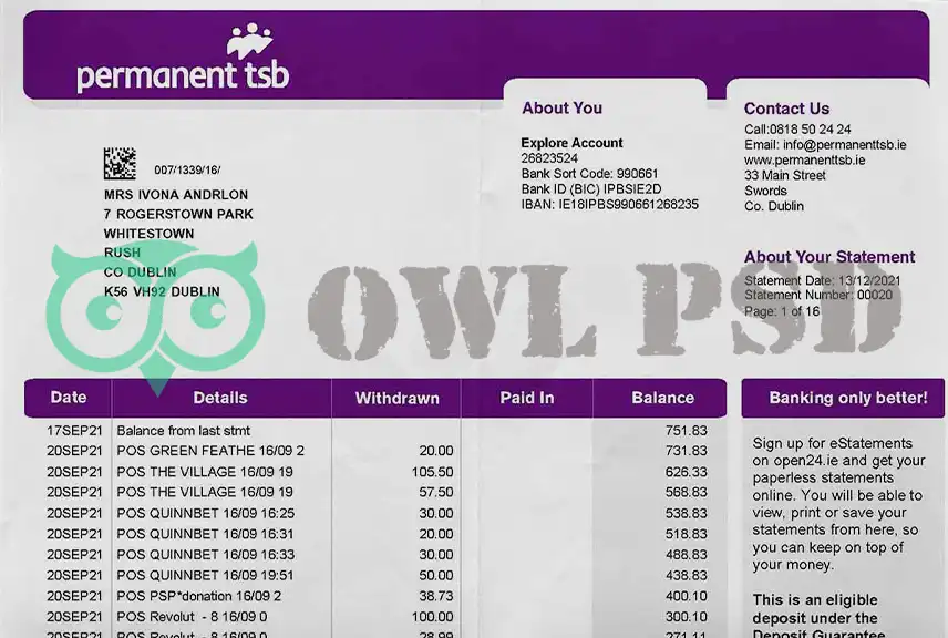 Ireland Permanent TSB Statement Template