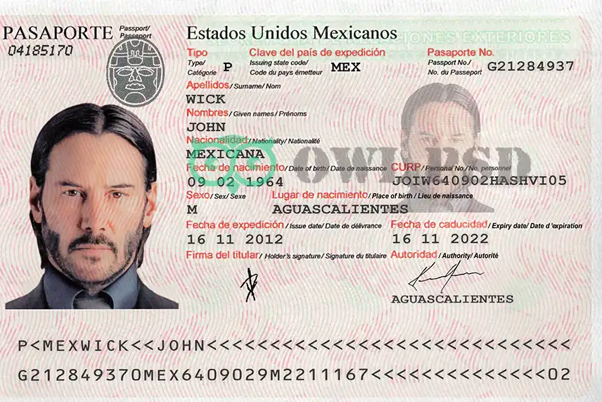 Mexico Passport Template 2016