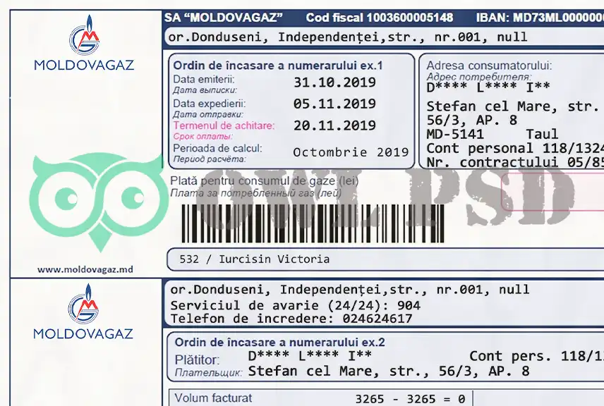 Moldova MoldovaGaz Utility Bill Template