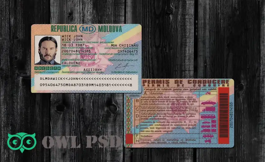 Moldova Driver License Template 1995