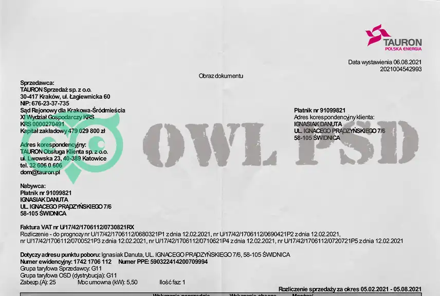 Poland Tauron Utility Bill Template