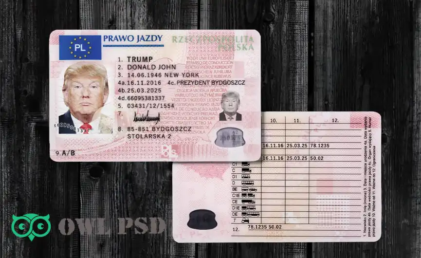 Poland Driver License Template 2013