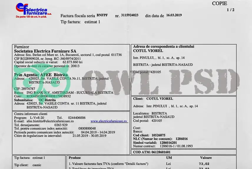 Romania Electrica Utility Bill Template
