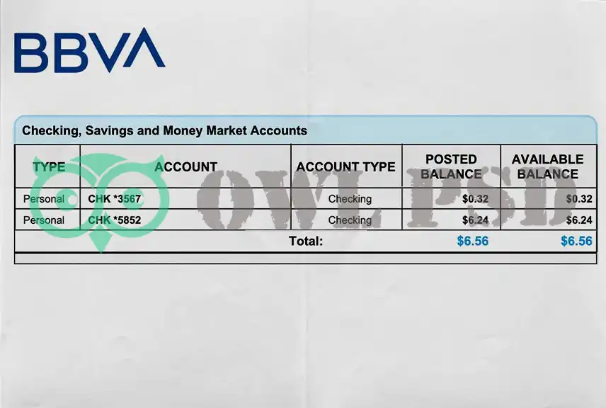 Spain BBVA Bank Utility Bill Template
