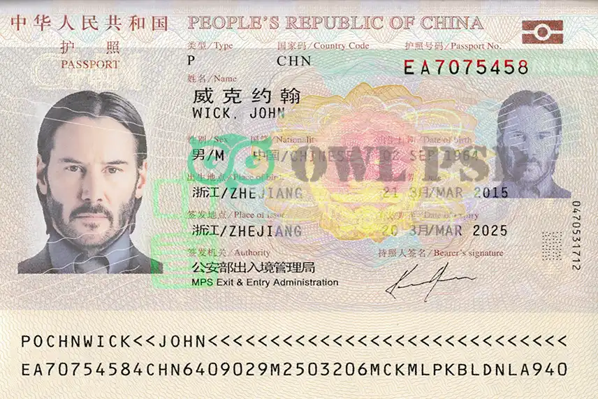 China Passport Template 2013