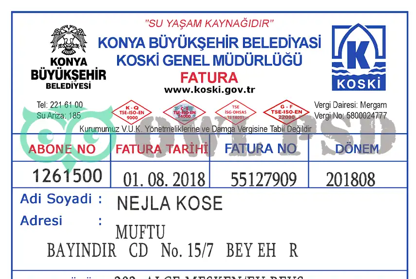 Turkey Koski Utility Bill Template