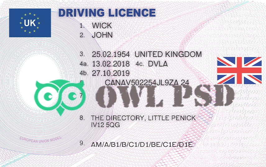 United Kingdom Drivers License Vector