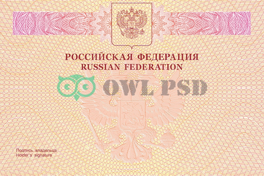 Russia International Passport Vector 2010