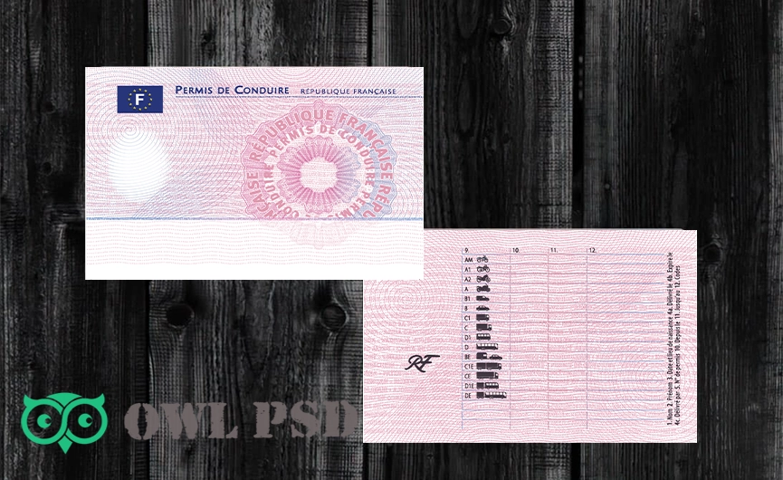 France Driver License Vector 2015